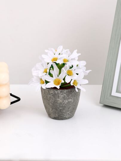 1 قطعة صغيرة بيضاء منطقة نبات إبرة الراعي بوعاء