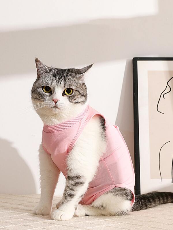 Cat Spay Surgery Recovery Suit, Kitten Postpartum Clothing Antilicking Spring And Summer