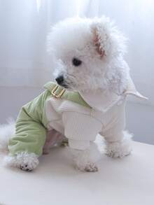 1件小型和中型犬貓的寵物服裝,灯芯絨舒適可愛的四腳連體衣 - 綠色 - 查看 7