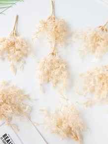 1 bó (6 đầu) cành cây giả, vật liệu trang trí năm mới, trang trí đám cưới, hoa đeo tay cô dâu, hoa cài áo, vật liệu hoa cài đầu, hộp kẹo tự làm, vật liệu làm quà sinh nhật, trang trí nhà cửa, vật liệu trang trí ngày lễ, ngày lễ tình nhân - Rượu sâm banh - Xem 5