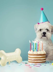 1入組骨形狀鋁箔氣球狗狗骨小氣球創意鋁箔小氣球適用於寵物狗狗兒童生日派對用品 - 米色 - 查看 2