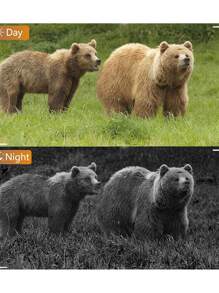 Blazevideo Tracking Camera 32mp 1296p For Hunting Wildlife, Monitoring Backyard, No-Infrared Illumination Camera - Grey - Grey - View 6