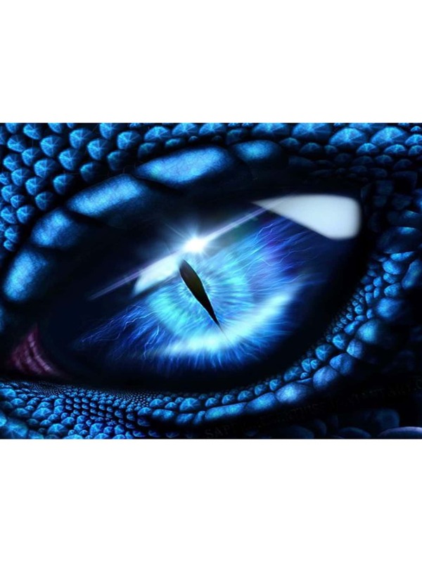 1 for sale australia new collection online shein australia