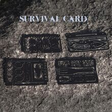 PSKOOK 4pcs Outdoor 304 Stainless Steel Fishing Tool Card Multi-Function Emergency Fishing Card Portable Fishing & Hunting Survival Tool Accessories - Black - View 7