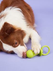 1pc Pet Tpr Rubber Pacifier Bite & Clean Teeth Toy With Sound, Color Random, Suitable For Small Dogs - Multicolor - View 5