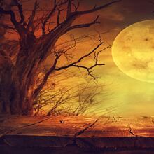 1pc Digital Printed Tapestry Wall Hanging Cloth - Multicolor - View 4