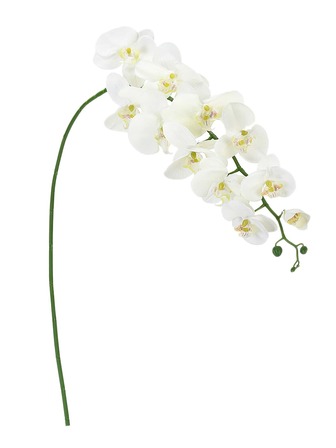 DIY artificial falso flor de seda Phalaenopsis Orquídea mariposa casa adorno
