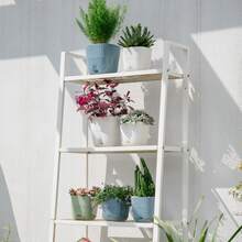 Nordic Style Plastic Flower Pot With Tray For Succulents, Snake Plants And Aloe Vera - Green - View 6