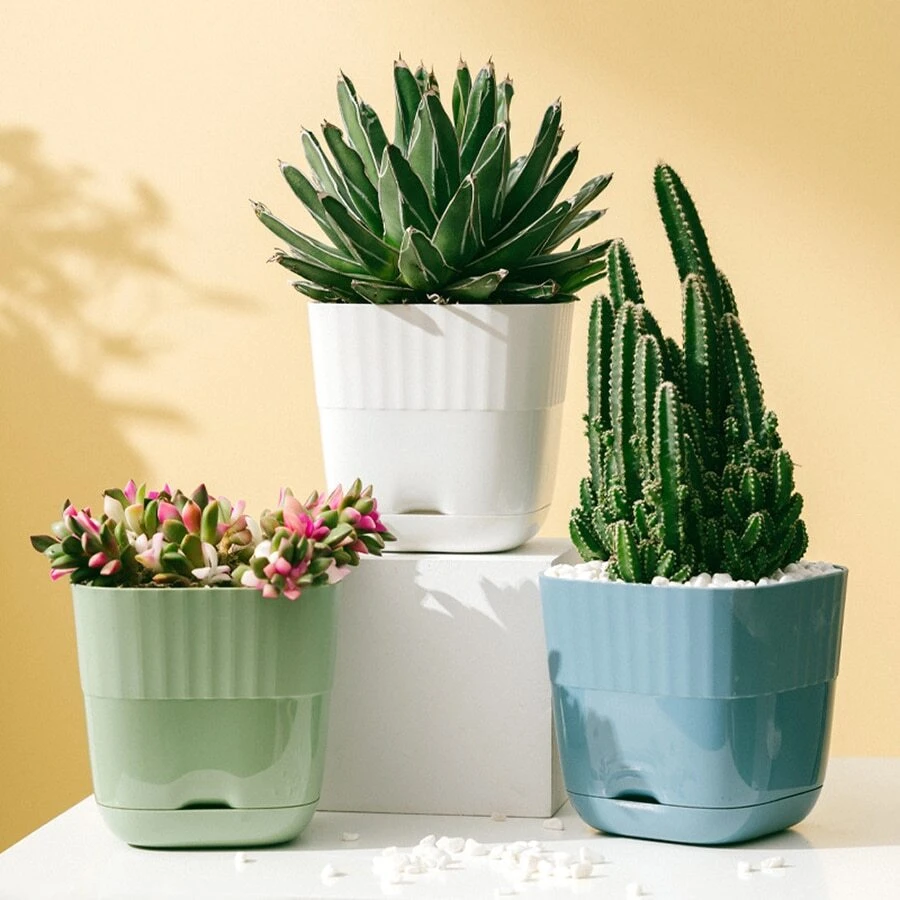 Nordic Style Plastic Flower Pot With Tray For Succulents, Snake Plants And Aloe Vera - Green - View 1
