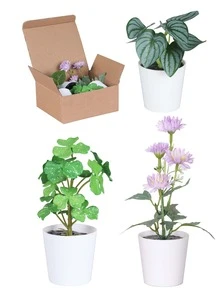 Artificial Potted Plants - Multicolor - View 2