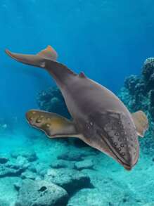 大型海洋動物人物玩具套裝，逼真海洋生物動作模型，包括鯨魚，男孩和女孩裝飾性教育學習玩具 - 彩色 - 查看 2