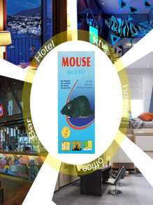 Trampas de pegamento para ratones, trampa para ratas - Azul - Ver 4