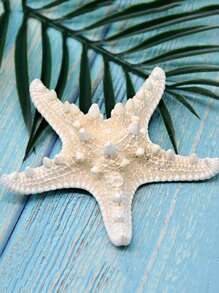 1pc Starfish 2.75in ~ 4.72in, Suitable For Holiday Gifts - Multicolor - View 1