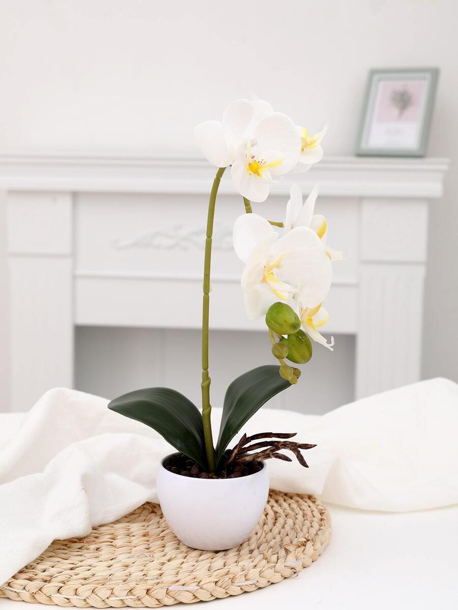 1 bình gốm sứ trang trí hoa lan hồ điệp trắng nhân tạo - trắng - Xem 1
