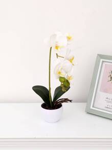 1 bình gốm sứ trang trí hoa lan hồ điệp trắng nhân tạo - trắng - Xem 2