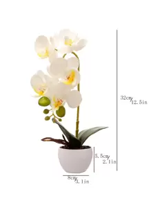 1 bình gốm sứ trang trí hoa lan hồ điệp trắng nhân tạo - trắng - Xem 4