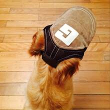 Baseball Hat Dog Sunscreen Hat Baseball Cap Outdoor Sports Hat With Ear Holes Adjustable Shade Mesh Breathable Pet Hat Small Dog Medium Large Dog - Brown - View 5