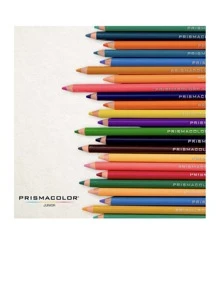 Prismacolor Junior Colored Pencils 24 Intense Colors - Black - View 2
