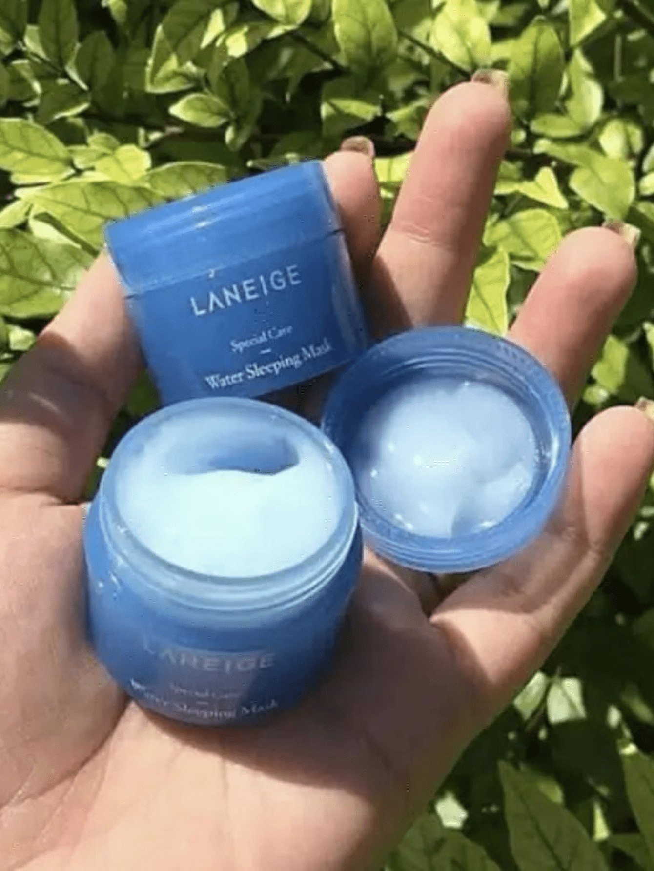 LANEIGE Mini Water Sleeping Mask Face Moisturizer Lotion 15ml SHEIN USA