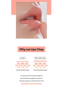 LANEIGE 迷你唇部睡眠面膜 EX 香膏護理漿果 3g - 粉色 - 查看 5