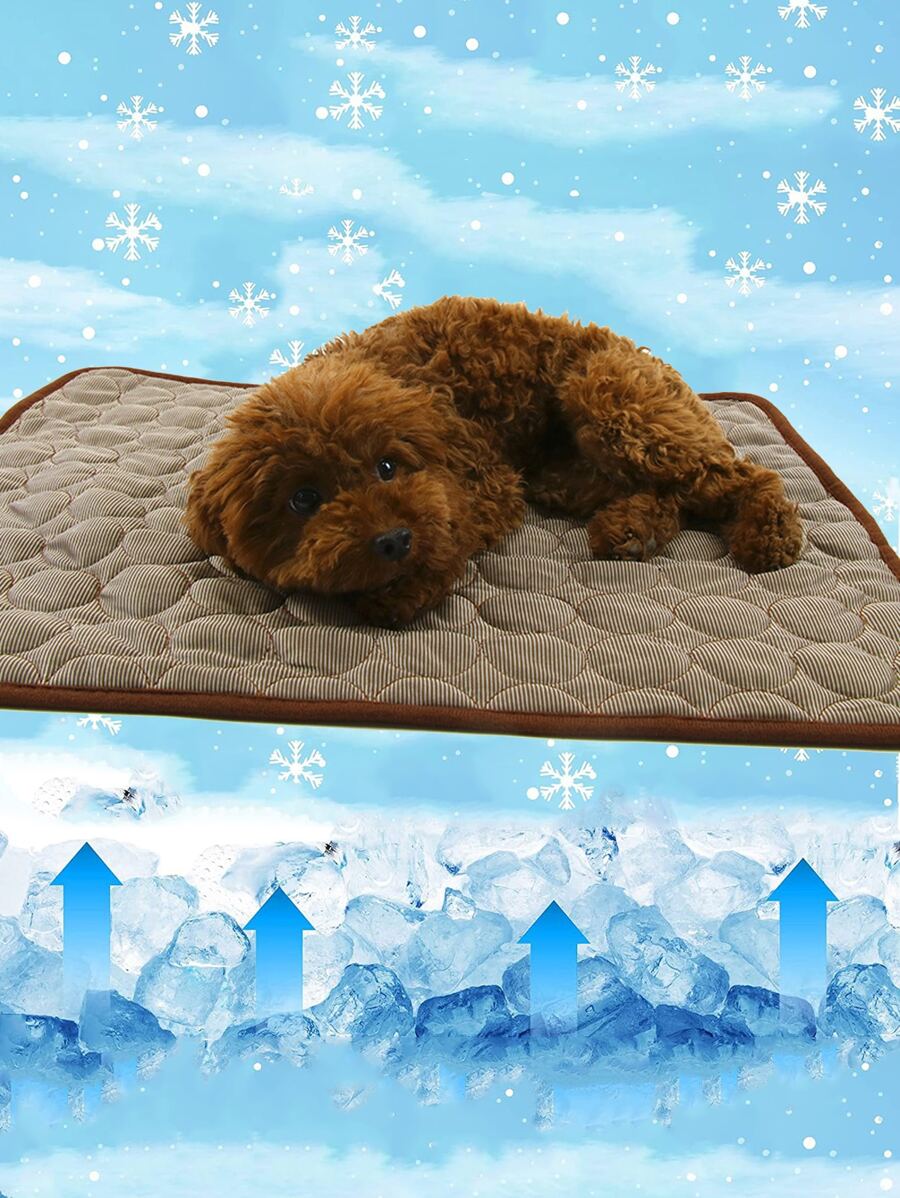 1入組素色寵物床，貓狗現代布藝寵物床 - 咖啡棕 - 查看 1