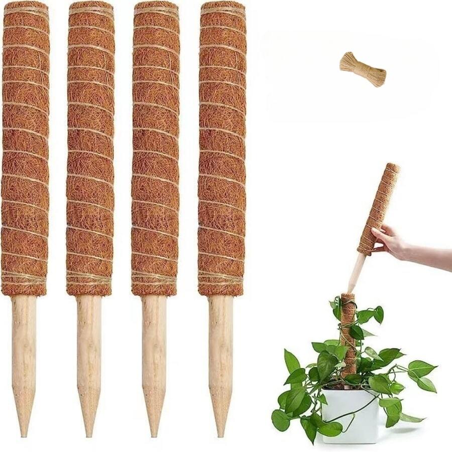 1入組植物攀爬桿，綠蘿藤蔓和莖植物樁，龜背竹盆栽裝飾棕櫚藤支撐桿 - 彩色 - 查看 1