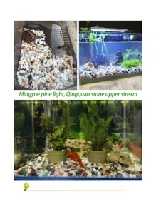 Natural Colored Flower Stone And White Pebble For Potting And Landscaping Decoration In Garden And Pathways - White - View 9