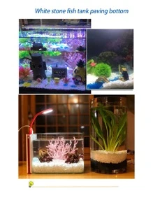 Natural Colored Flower Stone And White Pebble For Potting And Landscaping Decoration In Garden And Pathways - White - View 2