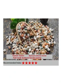 Natural Colored Flower Stone And White Pebble For Potting And Landscaping Decoration In Garden And Pathways - White - View 3