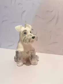 White Schnauzer