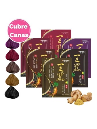 Paquete 10 Piezas Shampoo Tinte Instantaneo 15min Cubre Canas