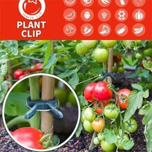 20 件装嫁接夹、温室夹、立式塑料植物夹、紧固件支架、植物嫁接、植物支撑结构