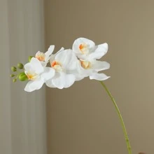 2 Miếng Trắng Hoa nhân tạo - trắng - Xem 5