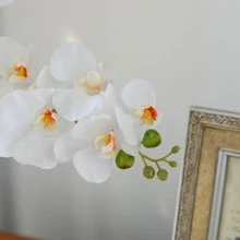 2 Miếng Trắng Hoa nhân tạo - trắng - Xem 4