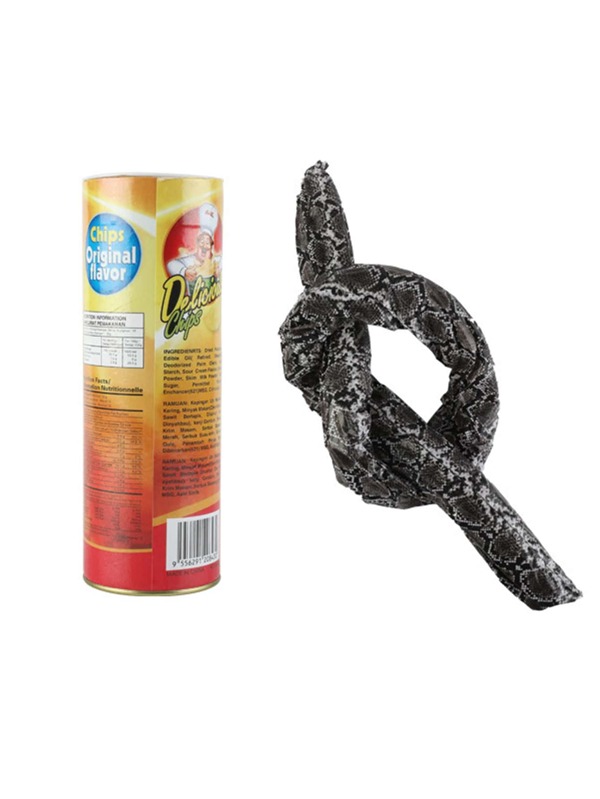 1pc April Fool's Day Gag Potato Chip Snake Jumping Snake Prank Scary