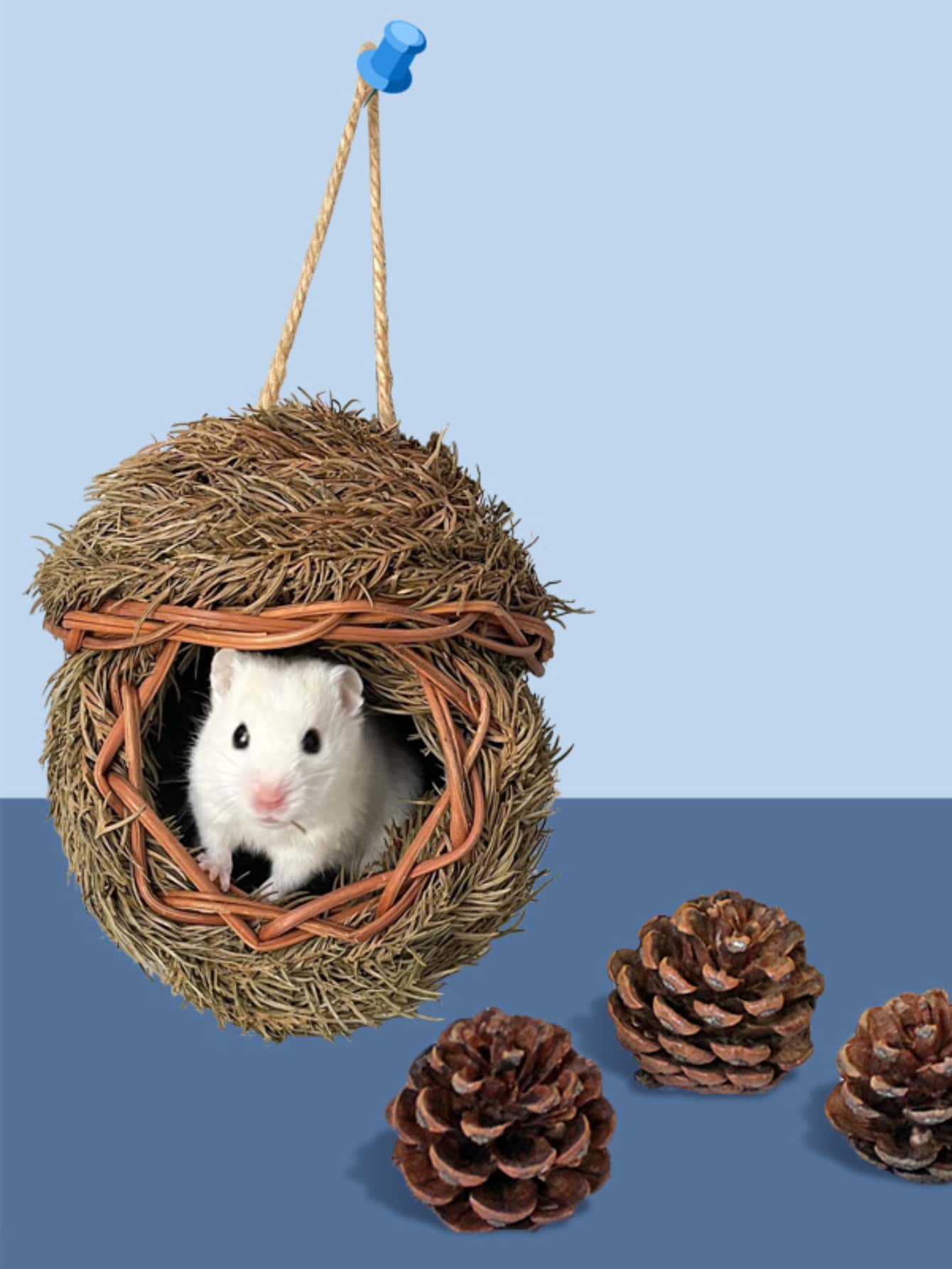 1 pieza natural césped nido para hámster , conejo , conejillo de indias , paloma , , pájaro , pollo , de mascota suministros - Marrón - Ver 1