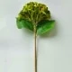 Verde Oliva