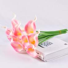 Mô phỏng Nhà  Đồ trang trí Màu hồng Biến đổi dần Calla Lily - Hồng - Xem 5