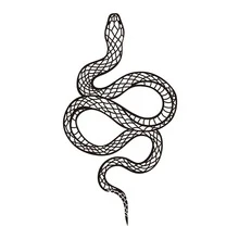 4入组/套龍和蛇臨時紋身貼適合男人及女人,時尚,防水和防汗 - 黑與白 - 查看 2