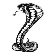 4入组/套龍和蛇臨時紋身貼適合男人及女人,時尚,防水和防汗 - 黑與白 - 查看 3