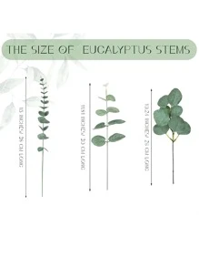 Mother's Day Decoration 9/30/60/120 Pcs 3 Kinds Mixed Eucalyptus Leaves Stems Bulk Artificial Silver Dollar Eucalyptus Leaves Picks Dried Eucalyptus Bundle Faux Spray For Wedding Vase Bouquet Floral Arrangement Decor Gifts Birthday Graduation,Fake Plants