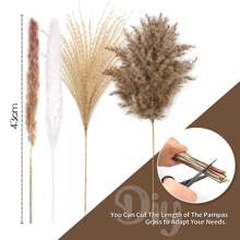 65入組幹潘帕斯草裝飾品（15入組棕色潘帕斯草、15入組白色蓬鬆草、33入組蘆葦草、2入組天然裝飾羽毛）、波西米亞婚禮派對花束（17.5 英寸） - 棕色 - 查看 8