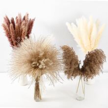 65入組幹潘帕斯草裝飾品（15入組棕色潘帕斯草、15入組白色蓬鬆草、33入組蘆葦草、2入組天然裝飾羽毛）、波西米亞婚禮派對花束（17.5 英寸） - 棕色 - 查看 1