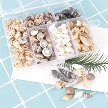 1box Mixed Natural Spiral Seashell & Conch For Bottle Seashell Art Decoration - Multicolor - View 1