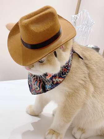 Sombrero cowboy mini tamaño Disfraz de mascota Accesorio