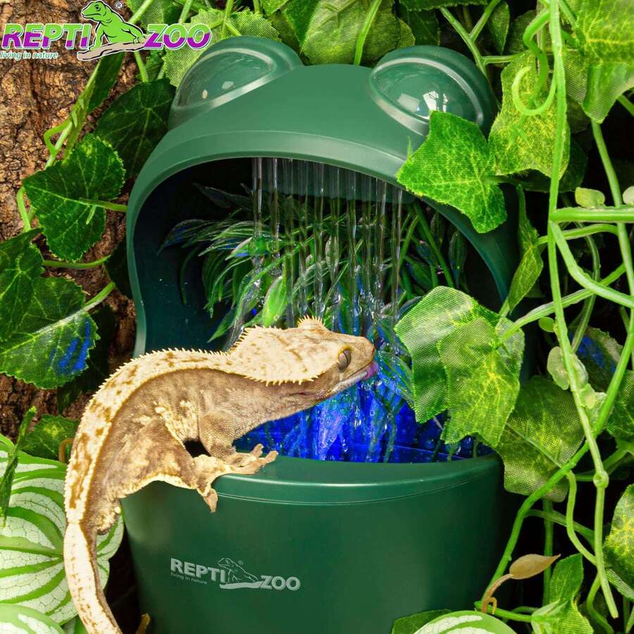 Reptile Water Dispenser Automatic Chameleon Drinking Fountain with Indicator Light, Reptile