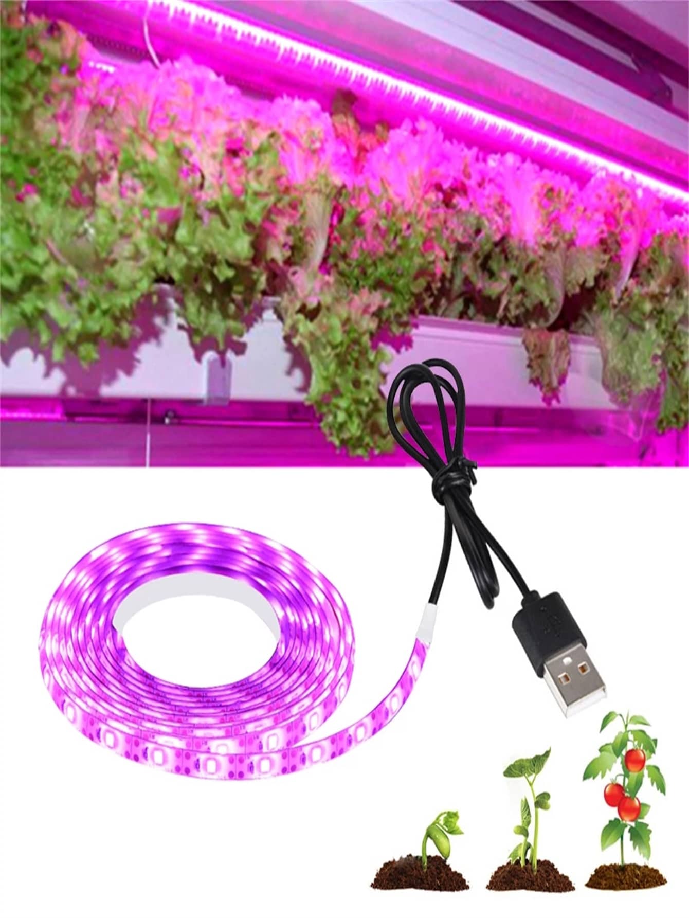 1 件 60 LED/M 粉色和紫色柔性 LED 灯带，DC5V USB 接口，植物生长照明和节日装饰 - 粉色 - 查看 1