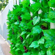 人造葡萄藤蔓 - 紫色 - 查看 3
