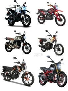 Motorcycle Shoe Protector - Green - View 7