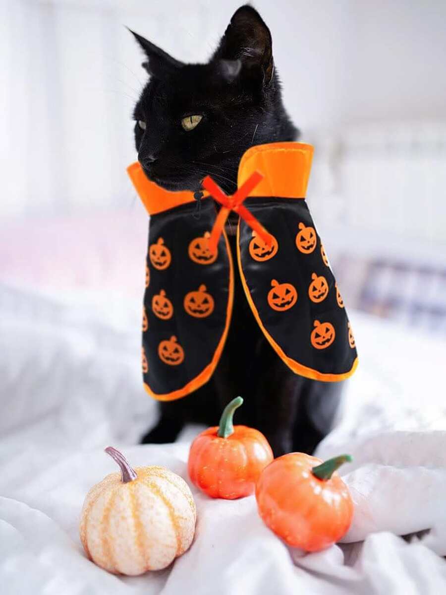 1pc Pet Halloween Costume Cape For Cat And Dog - Orange - View 1
